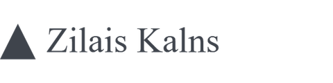 Client logo placeholder 7